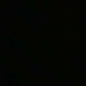 Meet your Posher, Isabelle